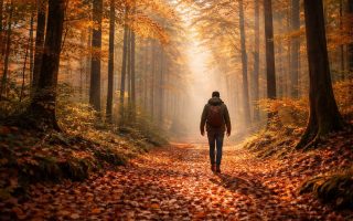 promeneur-bottes-foret-automne-feuilles