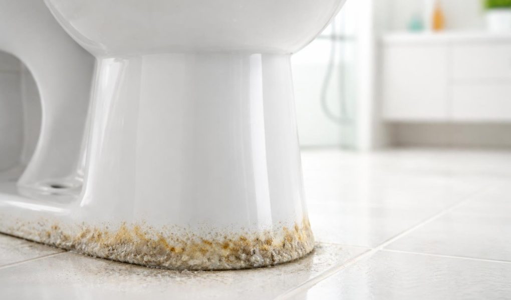 calcaire-toilette-moderne-salle-bains