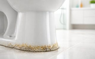 calcaire-toilette-moderne-salle-bains